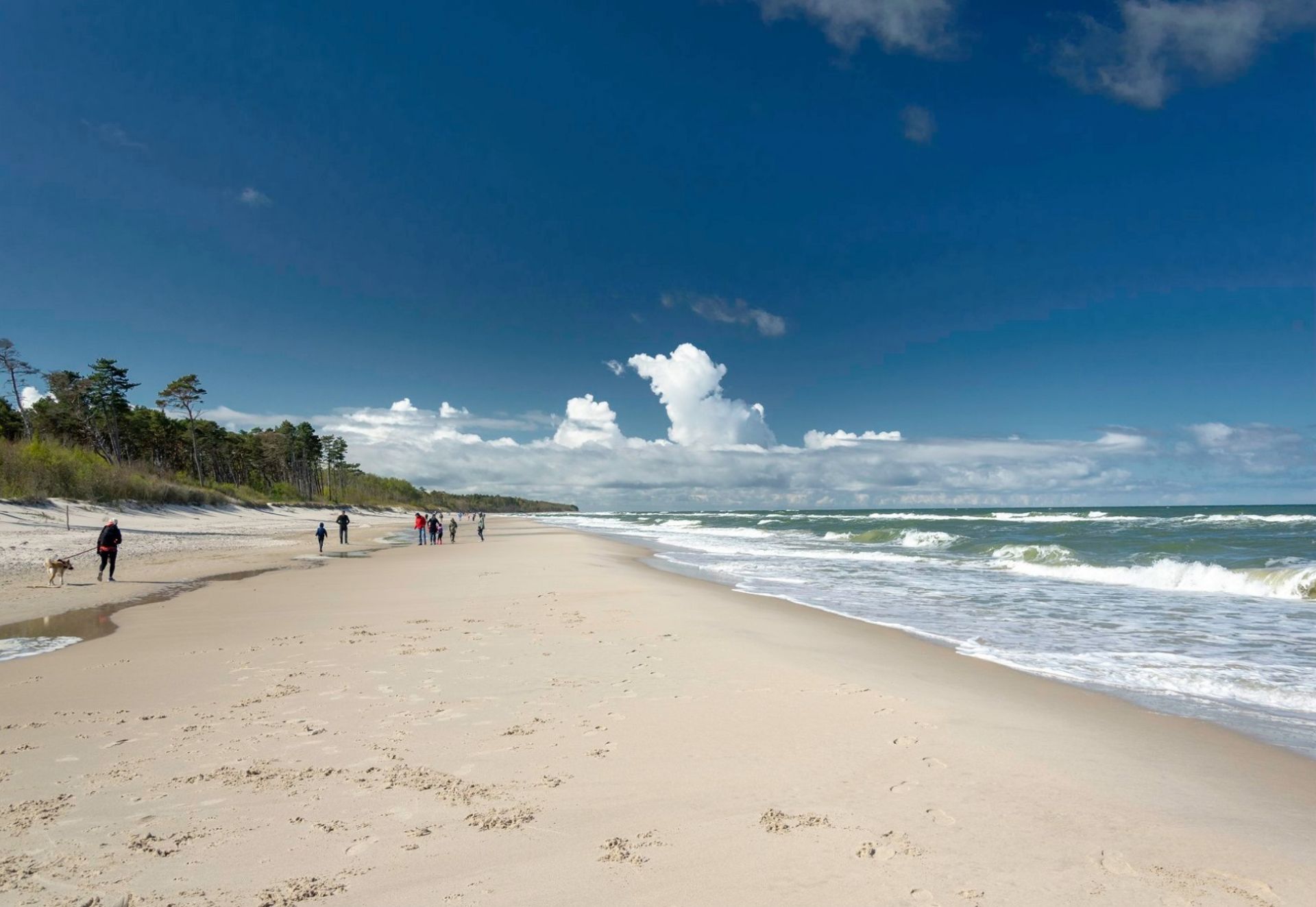 Apartamenty nad morzem